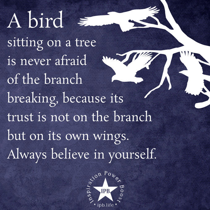 A Bird Sitting On A Tree Is Never Afraid Of The Branch Breaking