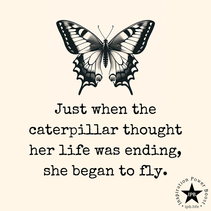 Just When The Caterpillar Thought Her Life Was Ending