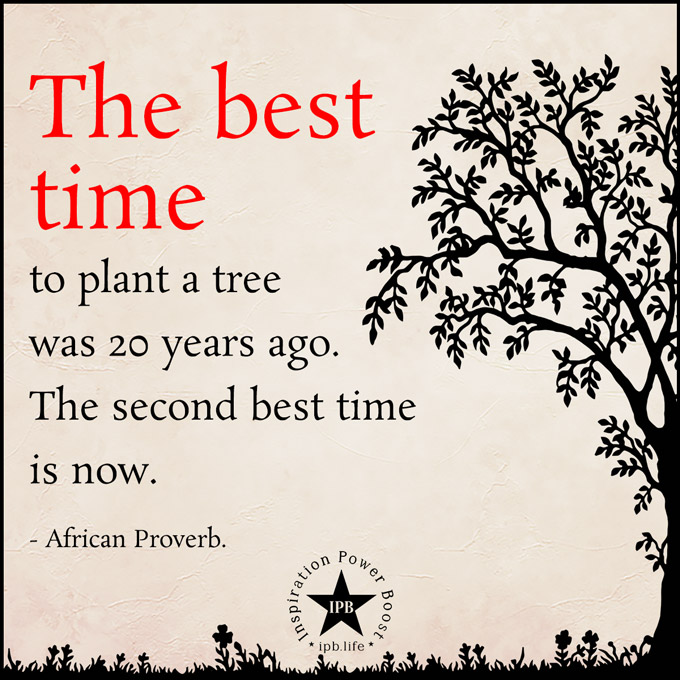 The Best Time To Plant A Tree Was 20 Years Ago