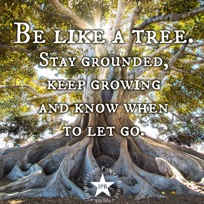 Be Like A Tree