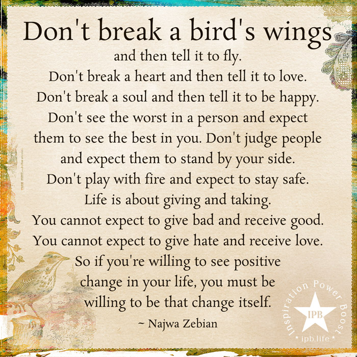 Don't Break A Bird's Wings And Then Tell It To Fly