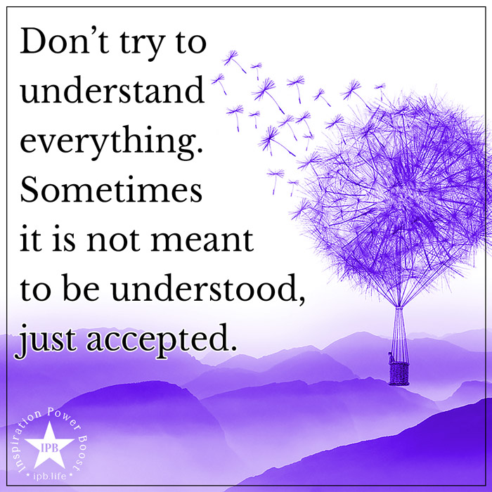 Don't Try To Understand Everything