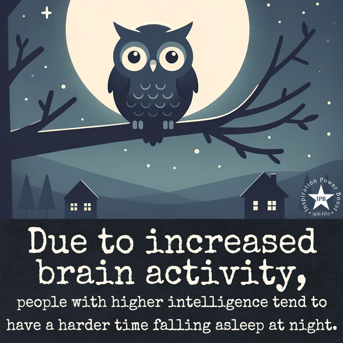 Due To Increased Brain Activity, People With Higher Intelligence