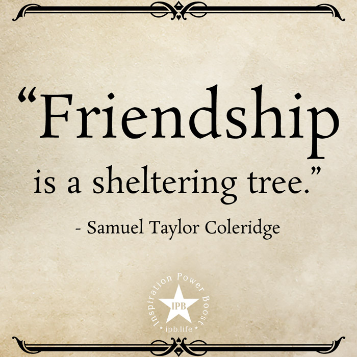 Friendship-Is-A-Sheltering-Tree