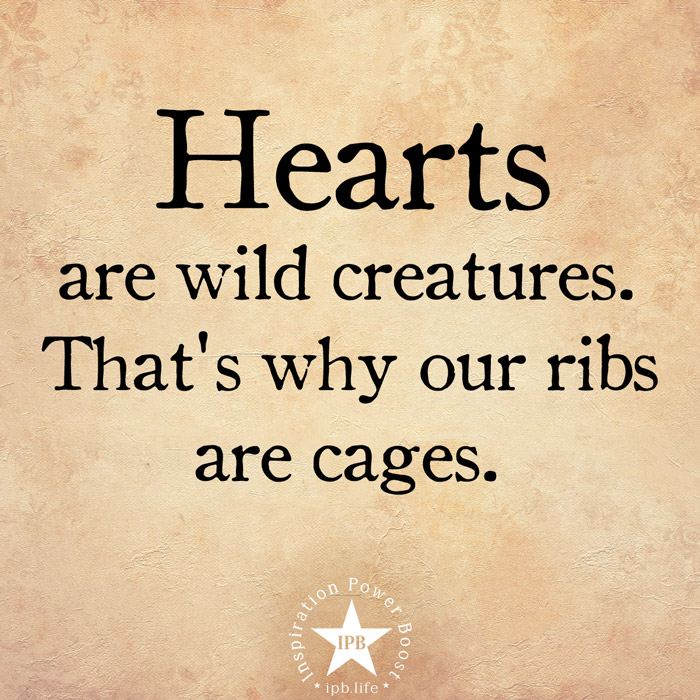 Hearts Are Wild Creatures