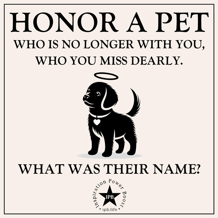 Honor A Pet Who Is No Longer With You
