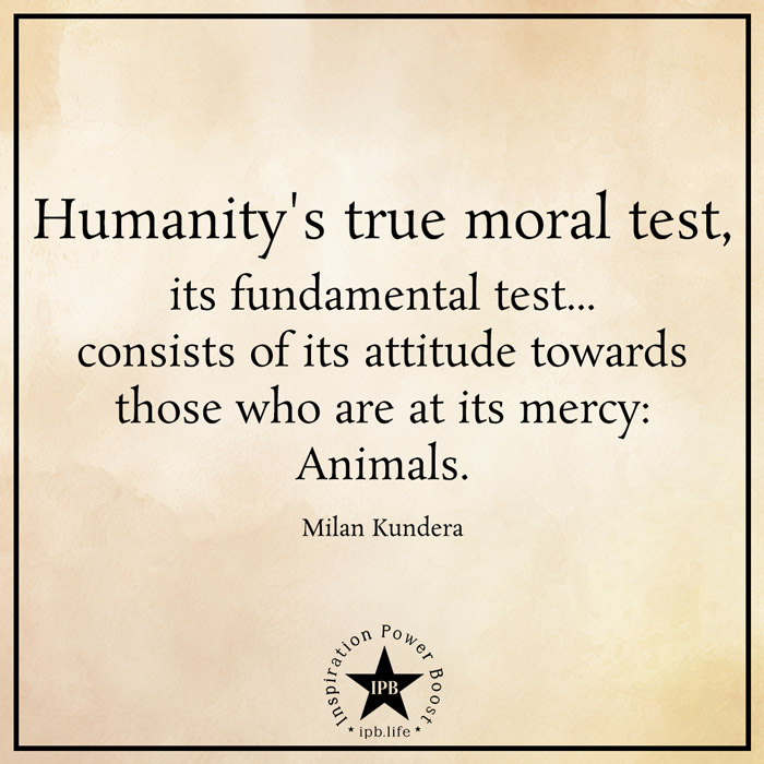 Humanity's True Moral Test, Its Fundamental Test