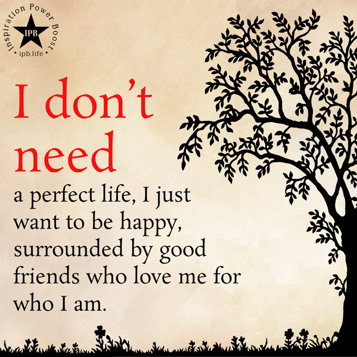I Don't Need A Perfect Life