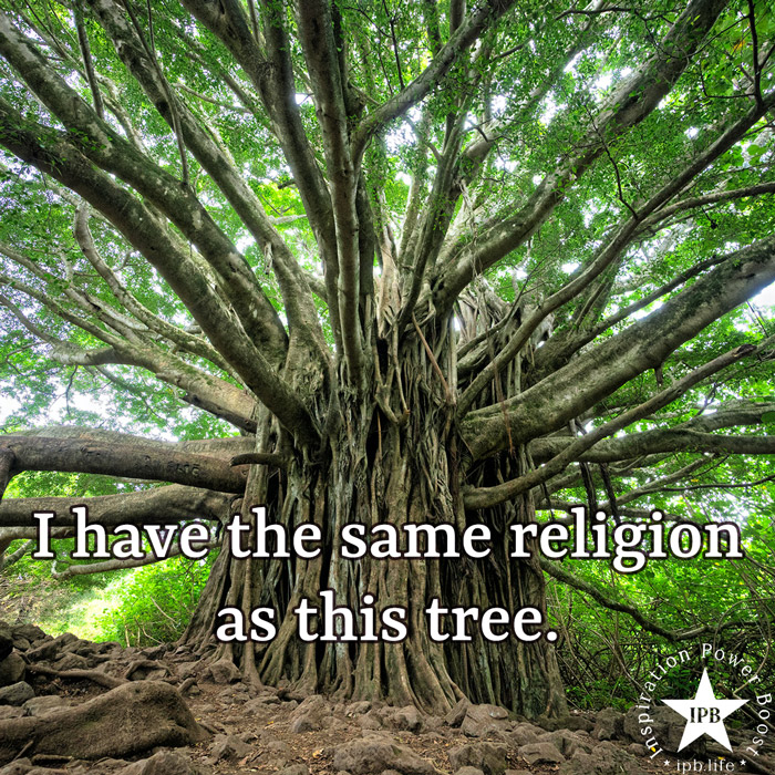 I Have The Same Religion As This Tree