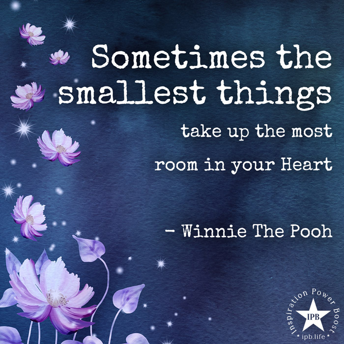 Sometimes The Smallest Things Take Up The Most Room In Your Heart