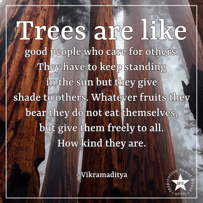 Trees Are Like Good People Who Care For Others