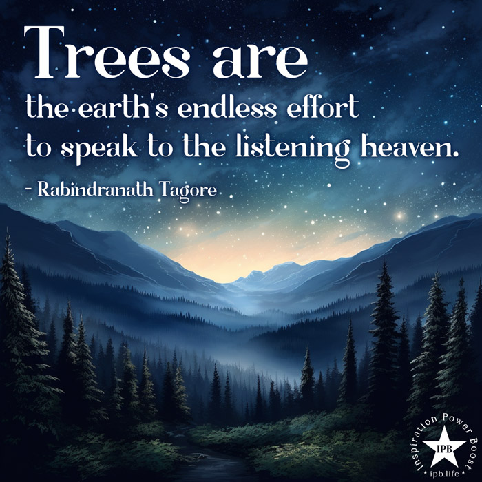 Trees Are The Earth's Endless Effort