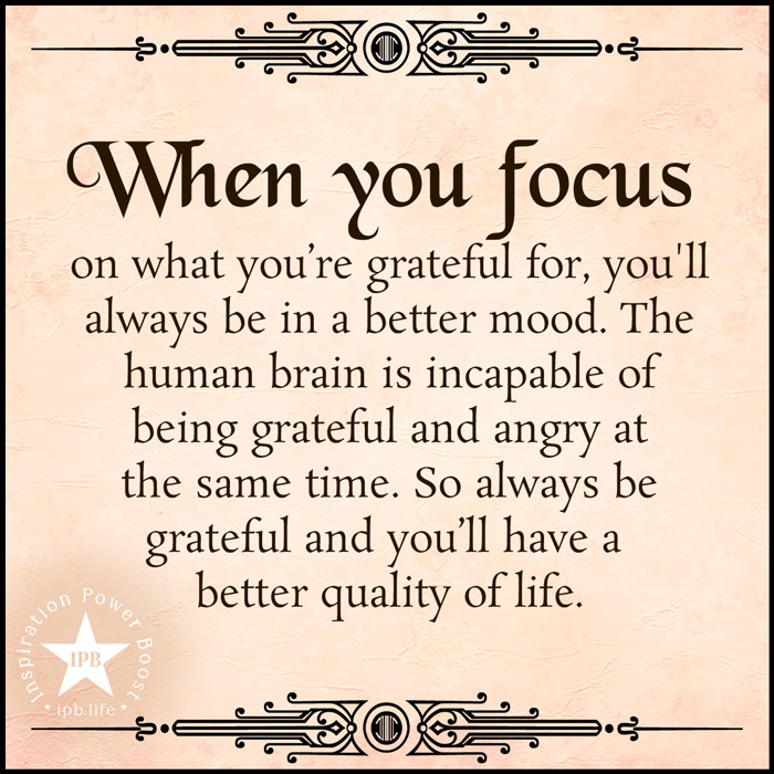 When You Focus On What You Are Grateful For
