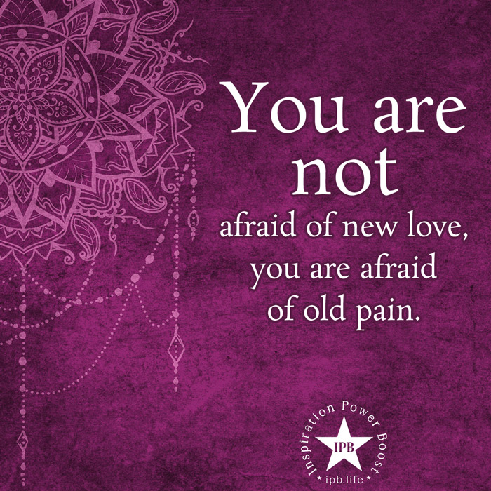 You Are Not Afraid Of New Love